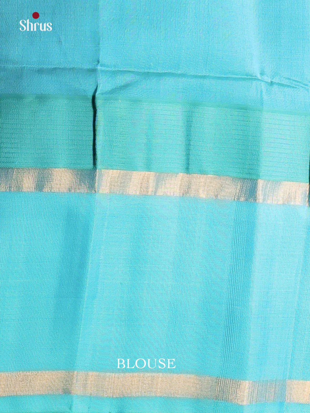 Baby Pink Silk Cotton Saree with Blue Rettapet Border With Elephant Motifs & Zari Pallu - Shop on Shrus.com