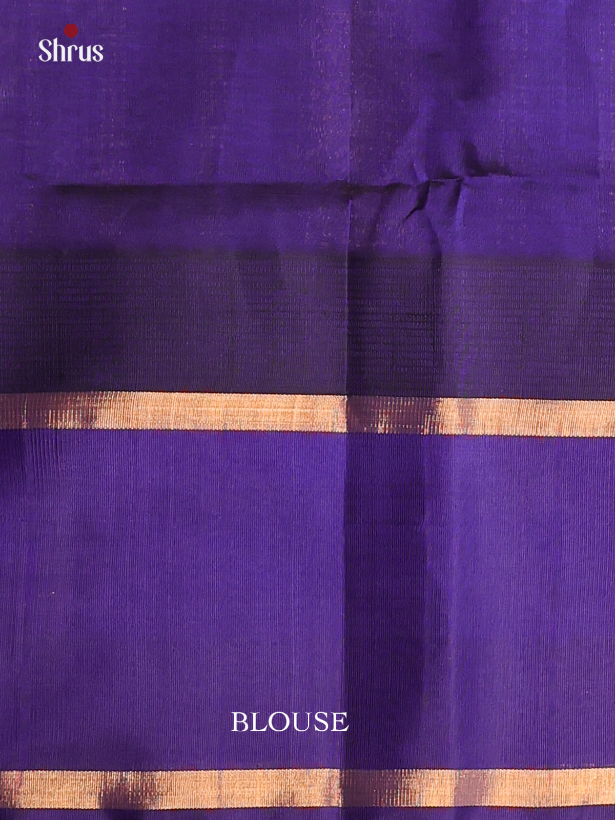 Pretty Cream Silk Cotton Saree With Blue Rettapet Zari Border With Elephant Motifs - Shop on Shrus.com