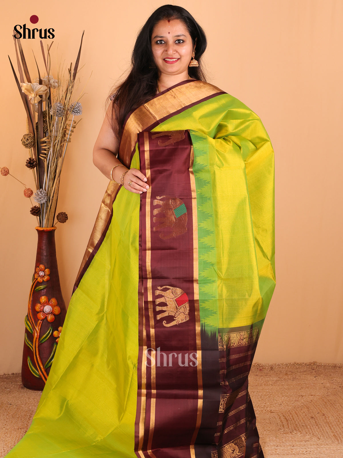 Exquisite Green Silk Cotton Saree with Brown Rettapet Border With Elephant Motifs & Zari Pallu - Shop on Shrus.com