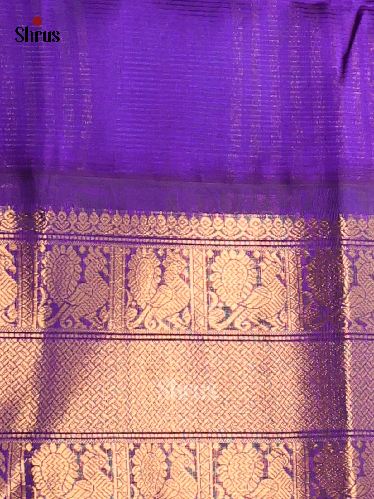 Lustrous Teal Silk Cotton Saree with Plain Body Paired With Purple Border & Zari Pallu - Shop on Shrus.com