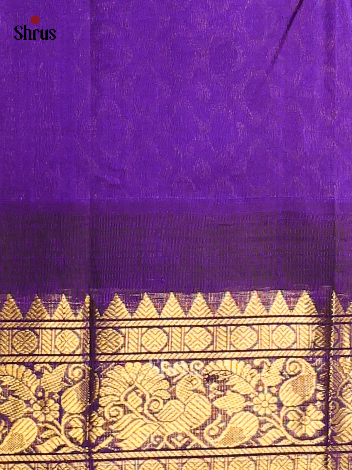 Pink Silk Cotton Saree with Zari Checks & Buttas Paired With Violet Border & Zari Pallu - Shop on Shrus.com