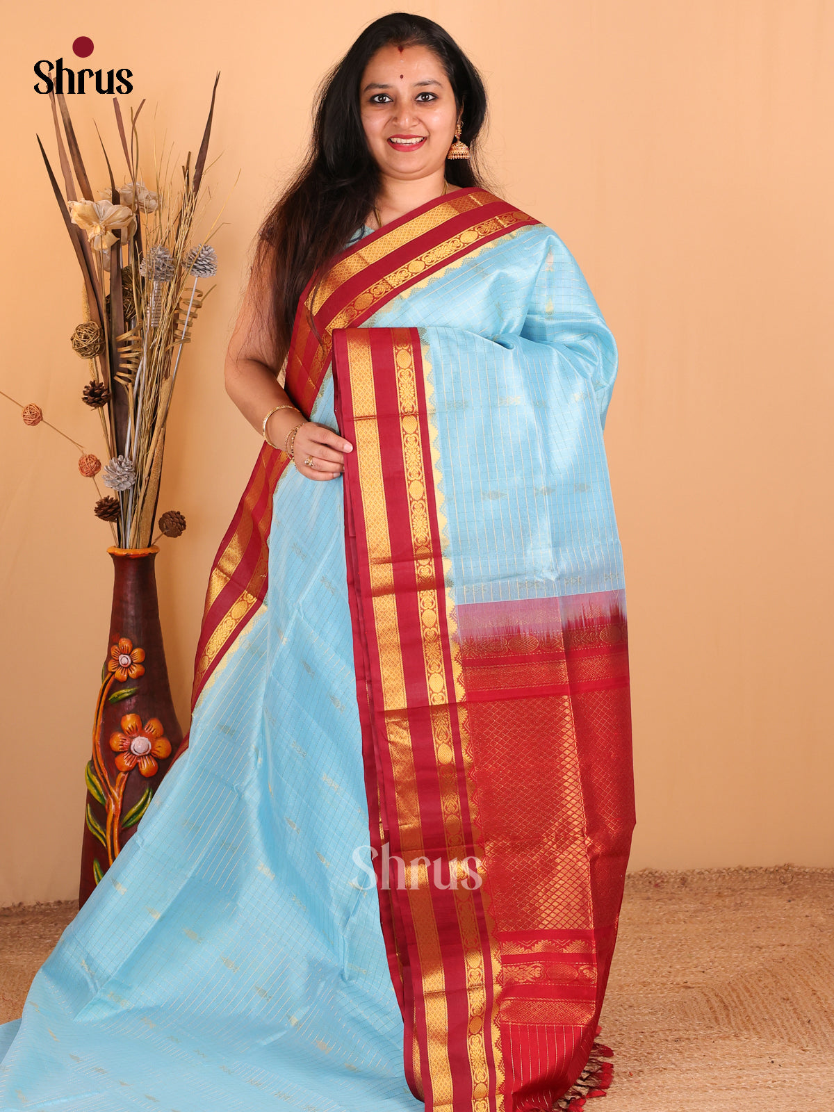 Cute Pastel Blue Silk Cotton Saree With Zari Checks & Buttas, Maroon Rettapet Border - Shop on Shrus.com