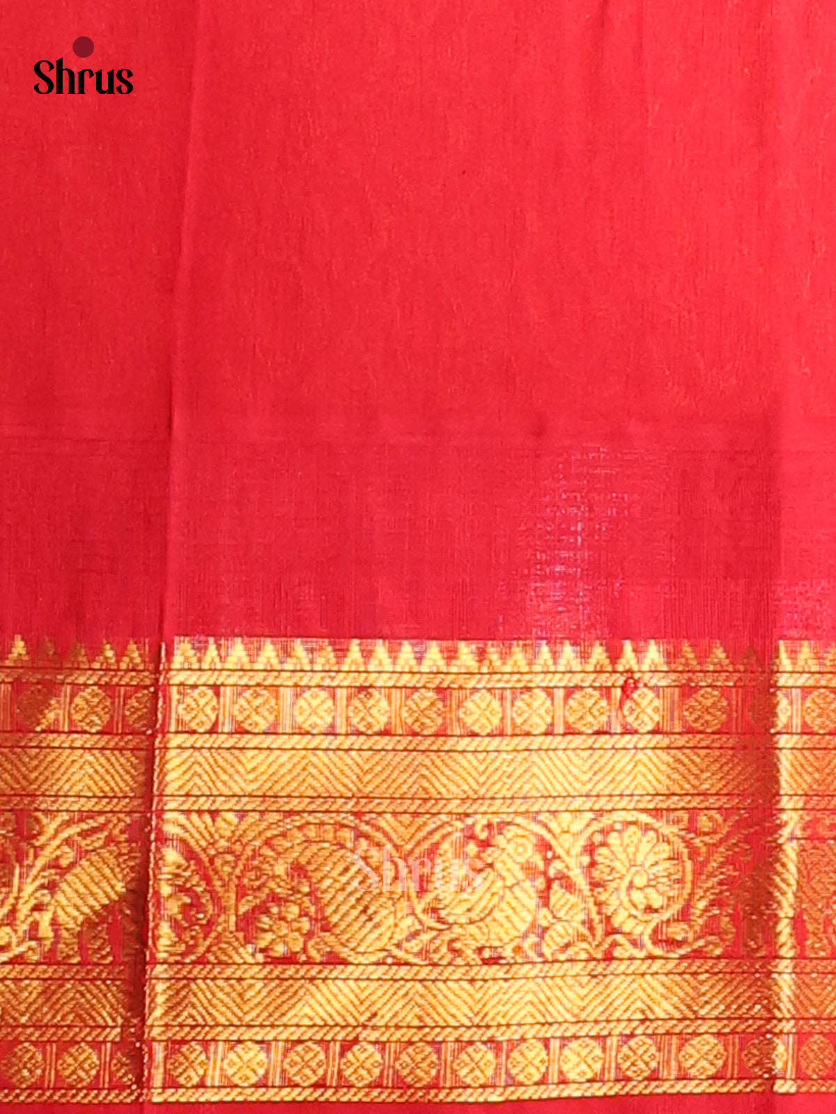 Chic Blue Silk Cotton Saree with Zari Checks & Buttas, Red Border & Brocade Pallu - Shop on Shrus.com