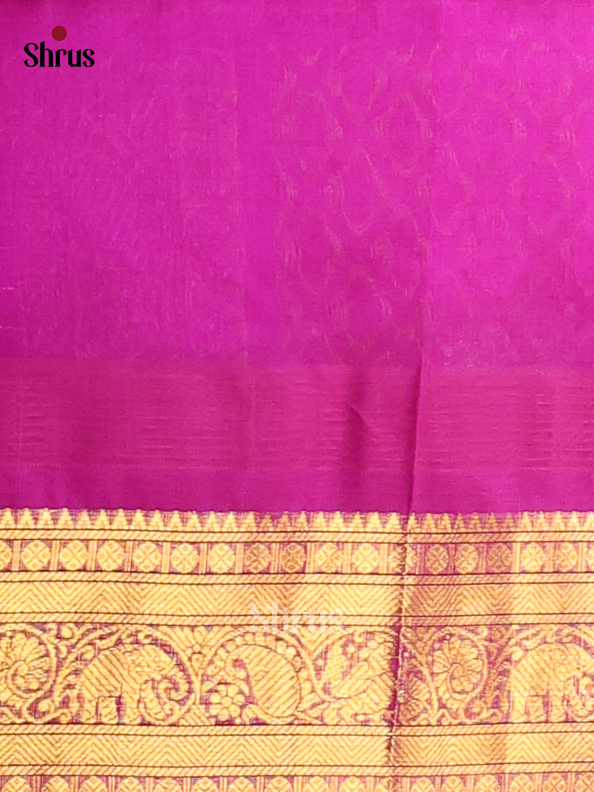 DDS12072 - Silk Cotton Saree - Shop on Shrus.com