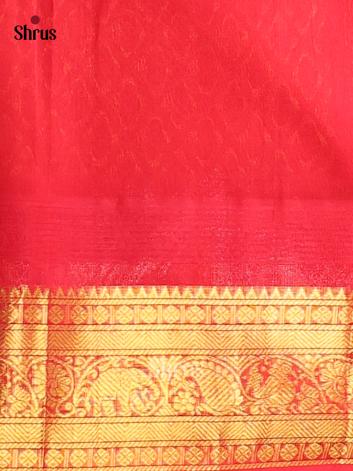 Green with Red - DDS12076 - Silk Cotton Saree - Shop on Shrus.com