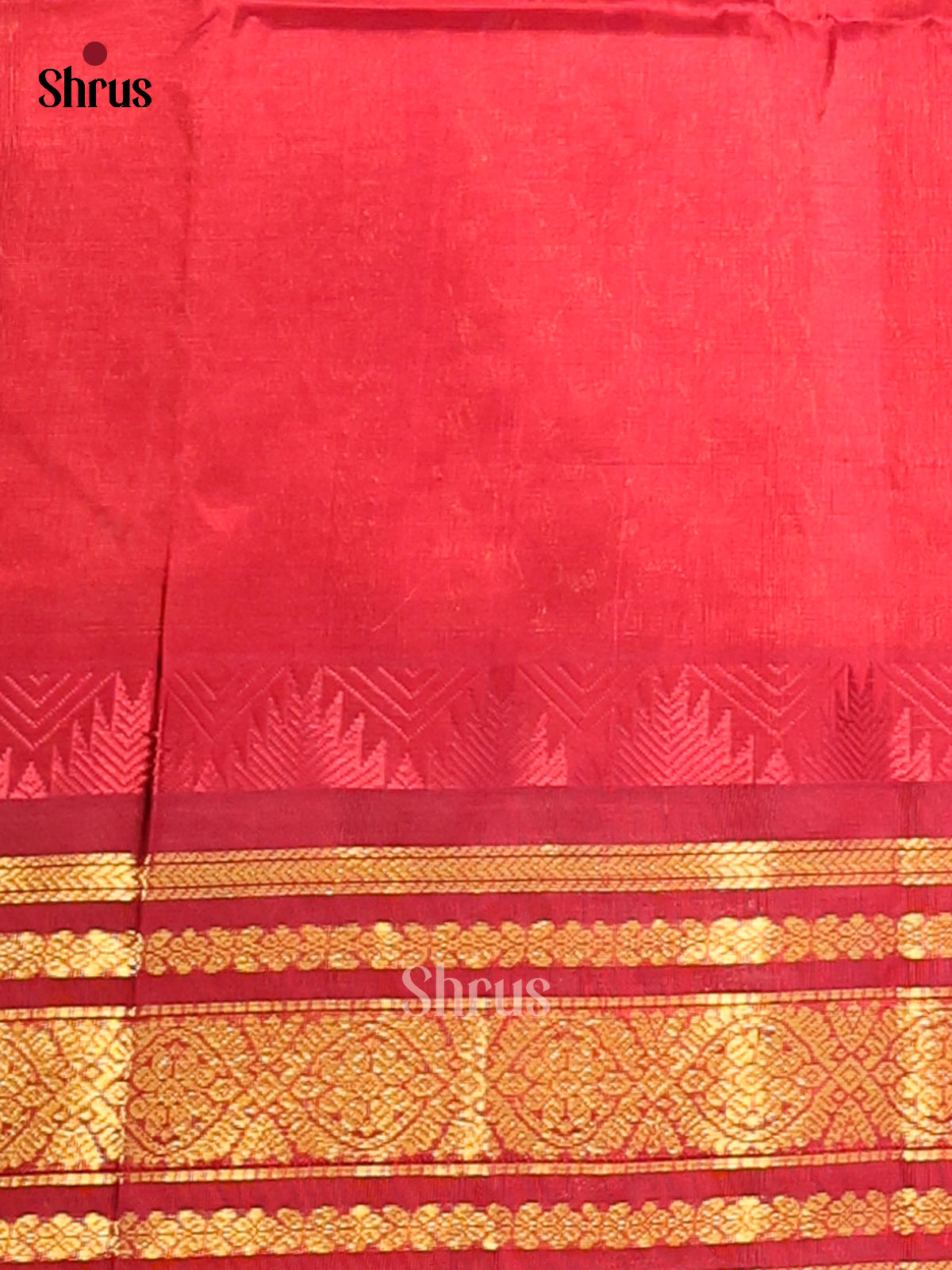 DDS12078 - Silk Cotton Saree - Shop on Shrus.com