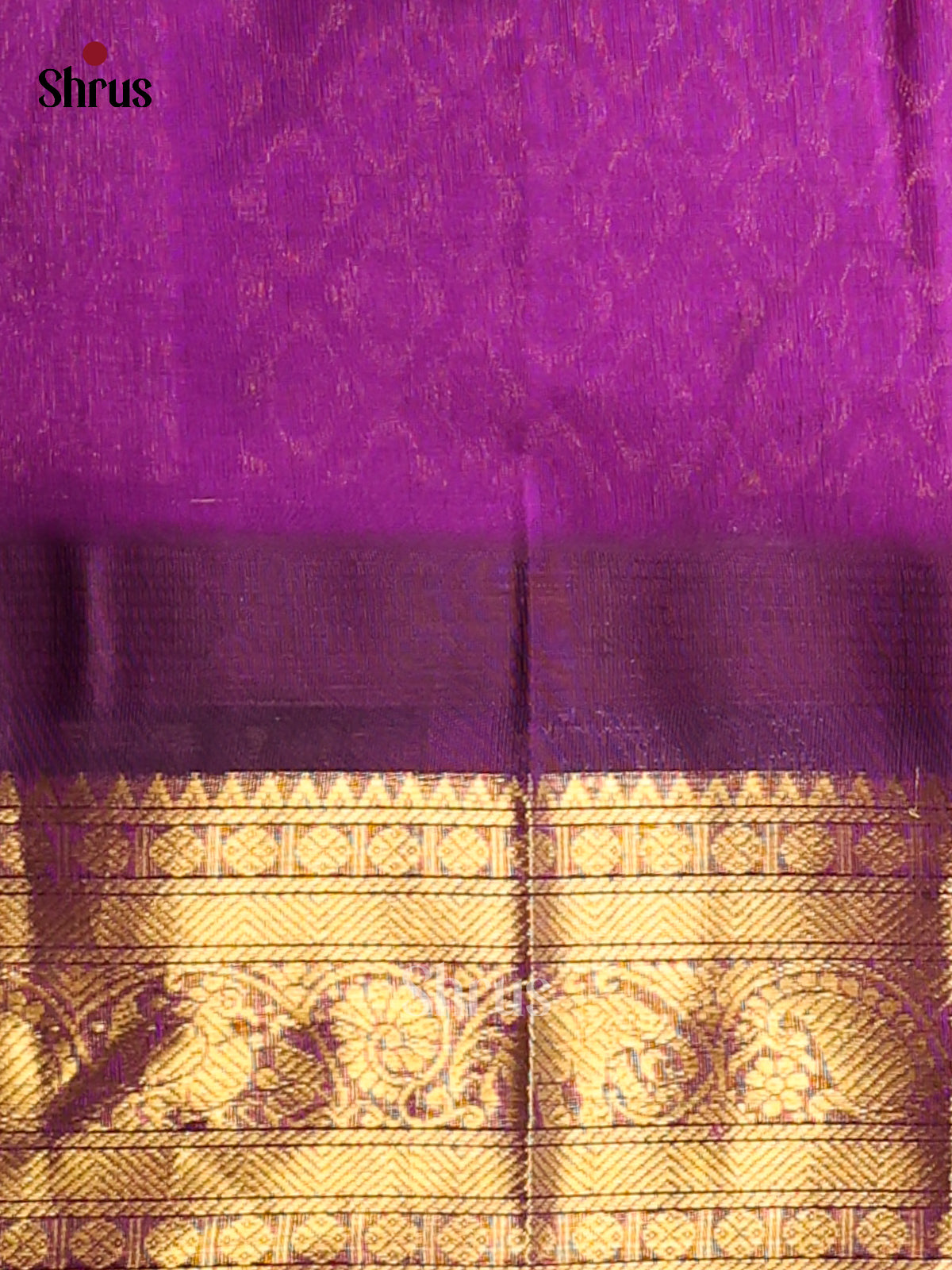 Pretty Green silk Cotton Saree With Checks & Buttas, Violet Zari Woven Border & Pallu - Shop on Shrus.com