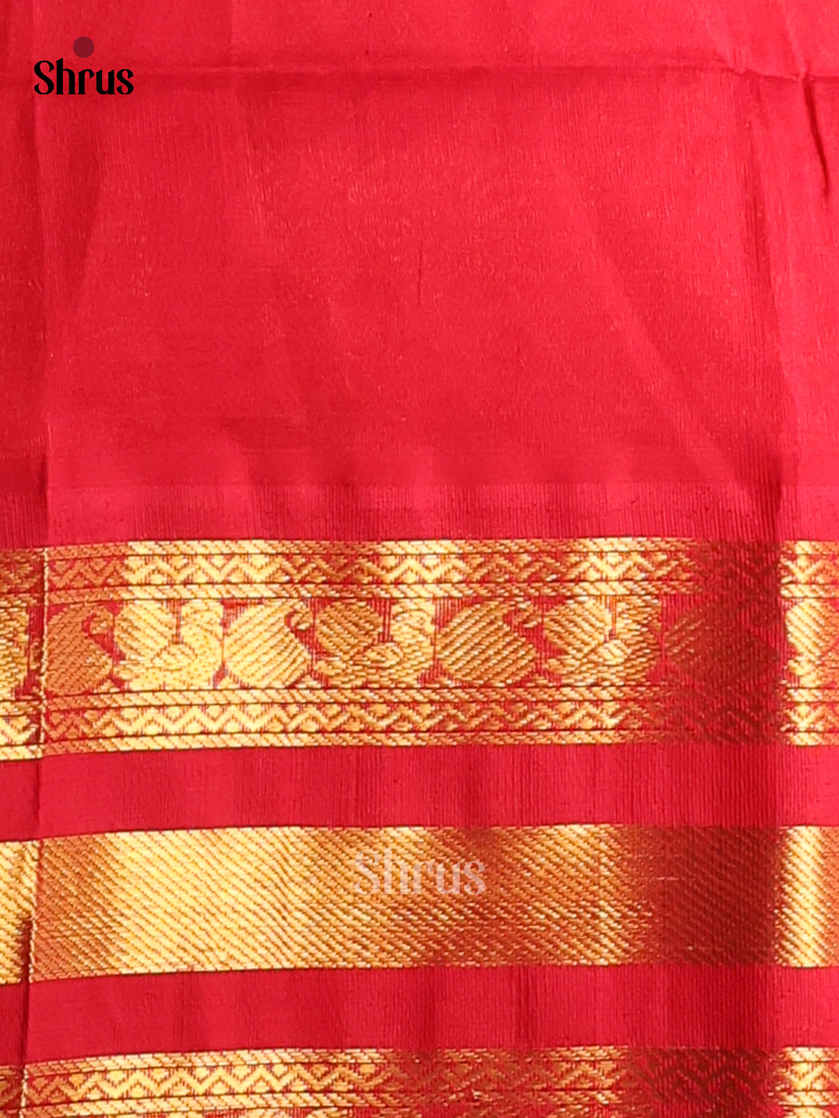 Charming Mustard Green Silk Cotton Saree with Checks, Red Rettapet Border & Zari Pallu -1