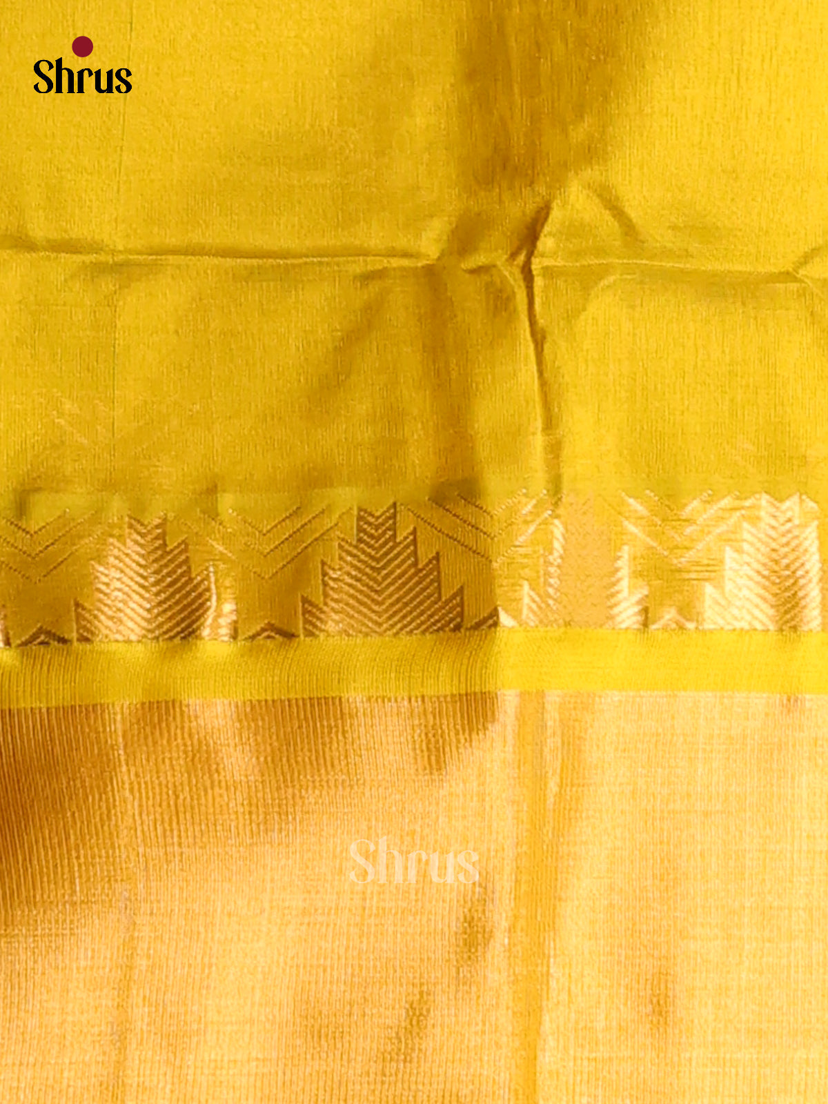 Blue with Yellow - DDS12097 - Silk Cotton Saree - Shop on Shrus.com