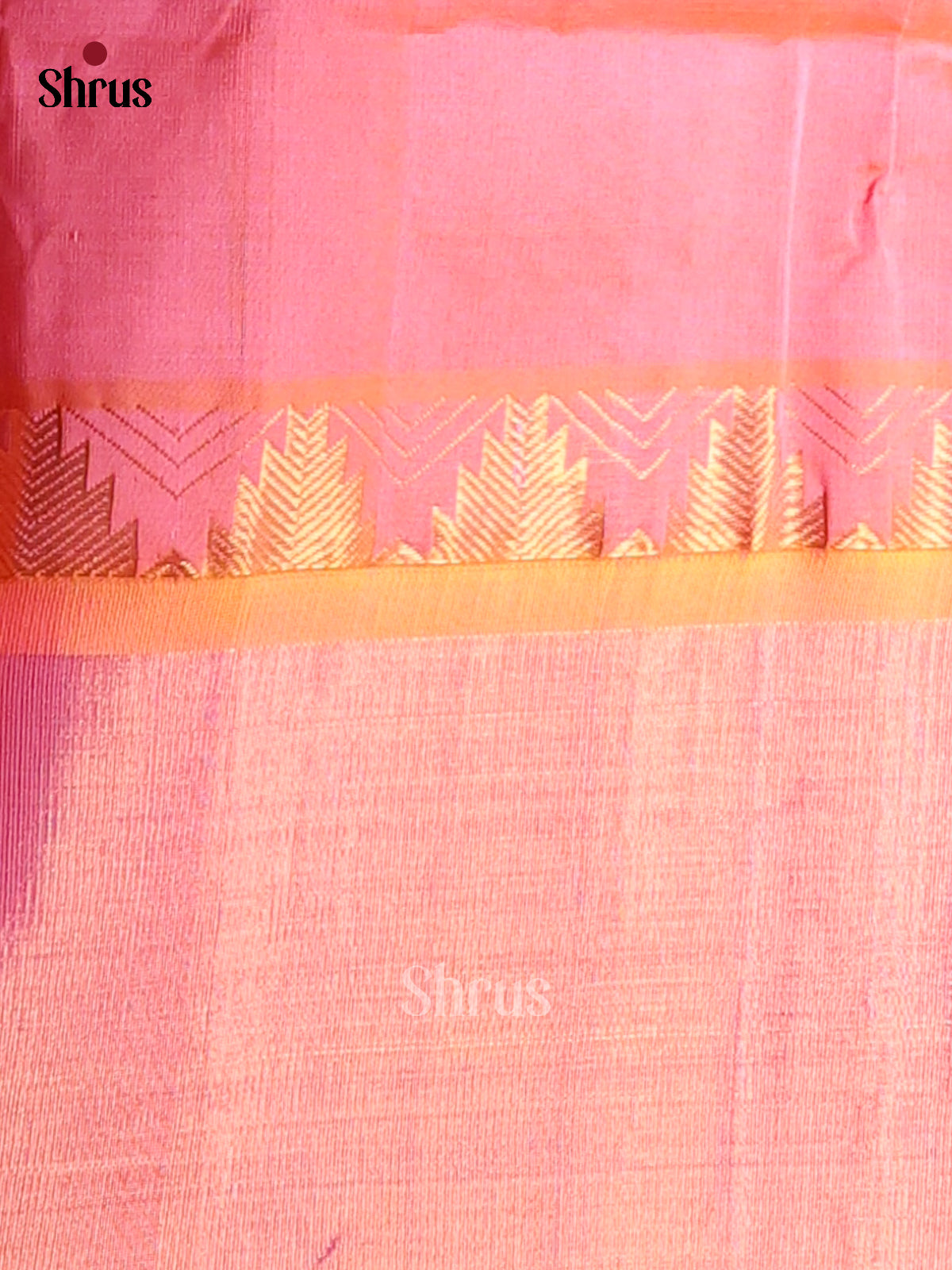 Violet & Pink - Silk Cotton Saree - Shop on Shrus.com