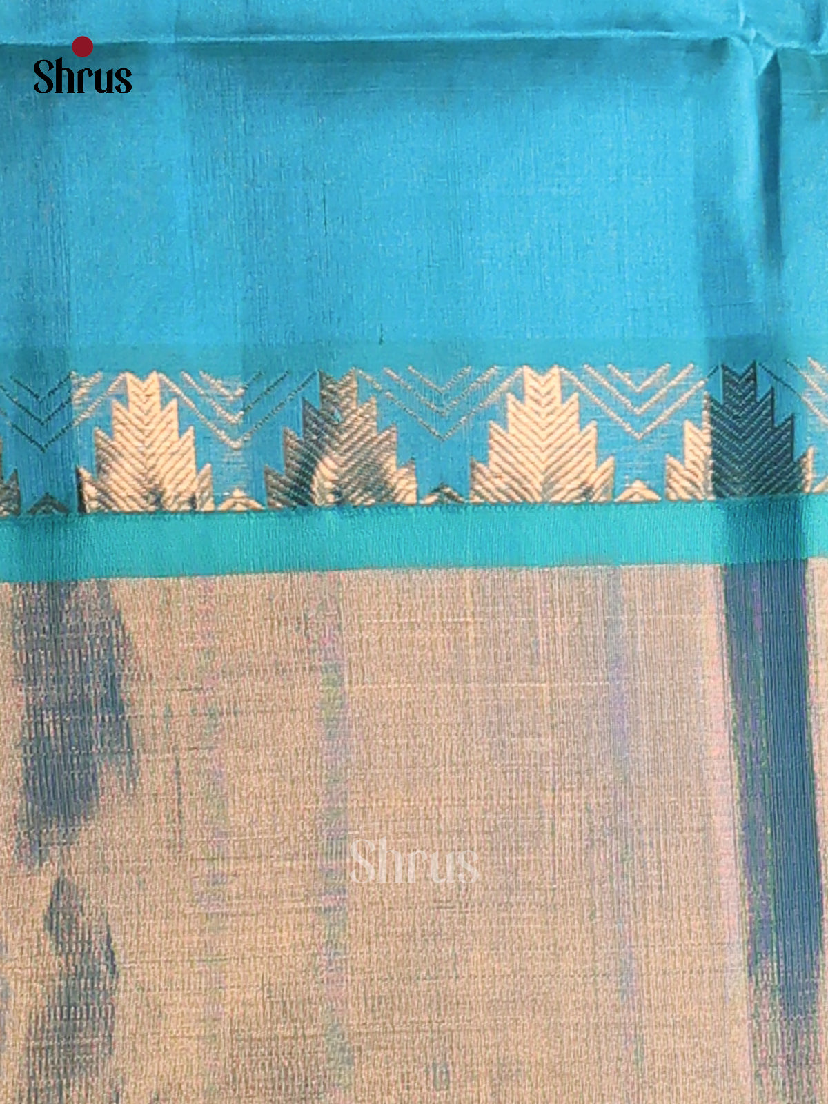 Elegant Brown Silk Cotton Saree With Zari Checks, Dot Buttas & Blue Border & Zari Pallu - Shop on Shrus.com