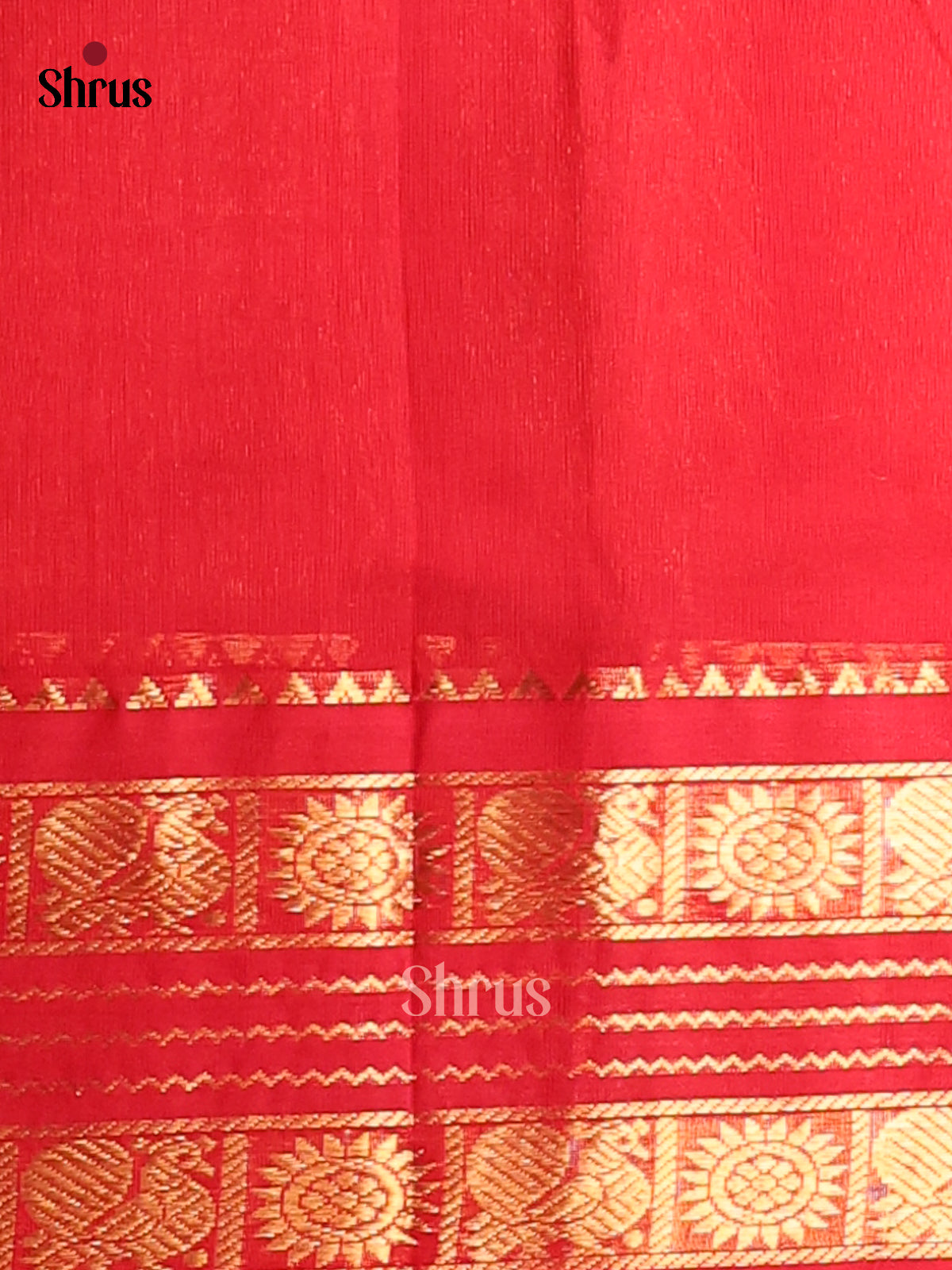Lovely Blue Silk Cotton Saree with Stripes, Red Rettapet Border & Gold Zari - Shop on Shrus.com