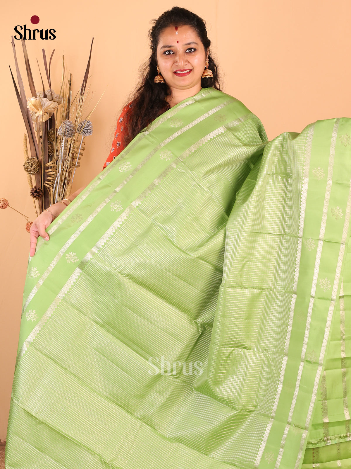 Charming Pista Green monochrome Kanchipuram silk Saree zari stripes , brocade pallu - Shop on Shrus.com
