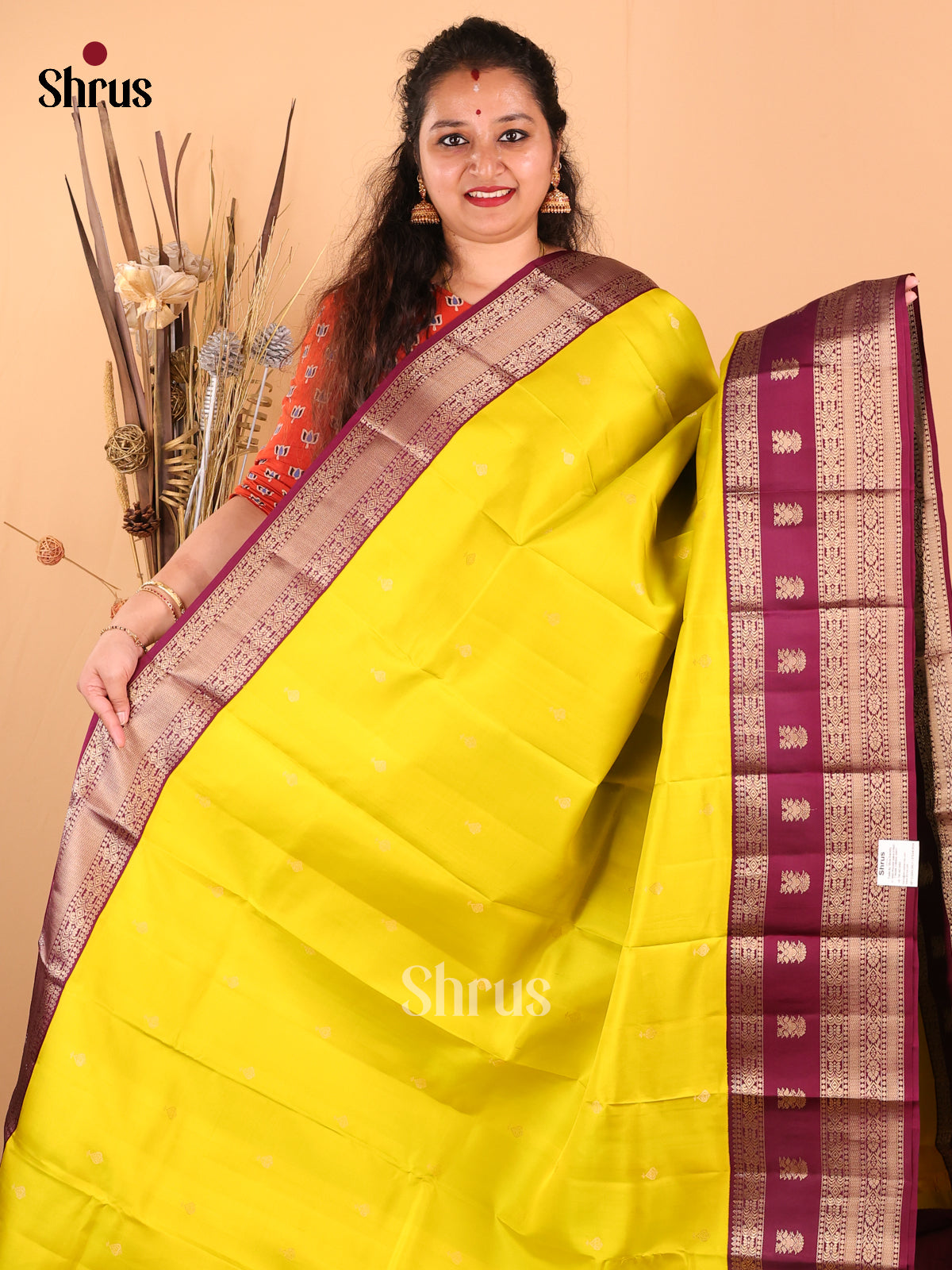 DDS17051 - Kanchipuram silk Saree - Shop on Shrus.com