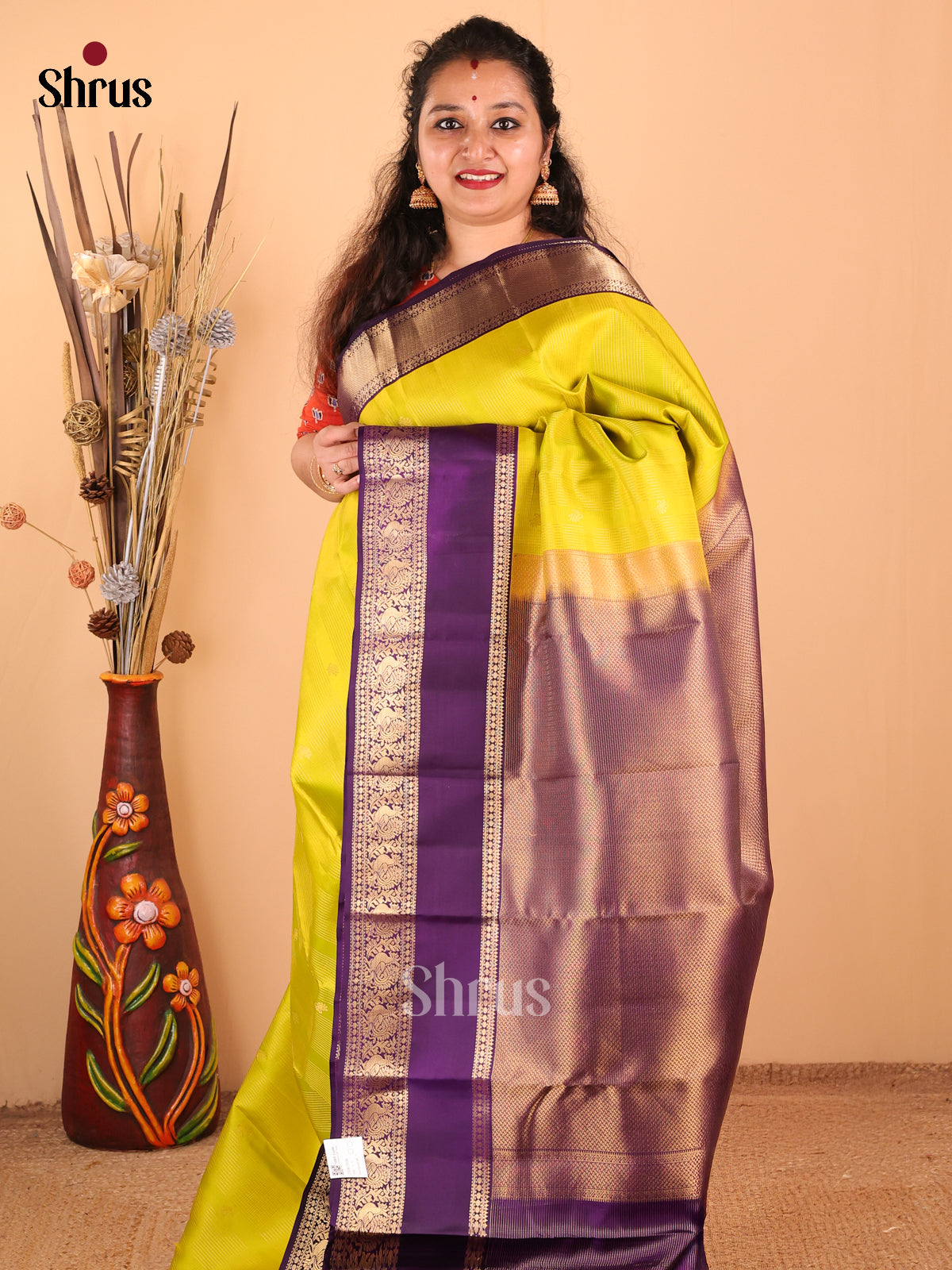 DDS17058 - Kanchipuram silk Saree - Shop on Shrus.com