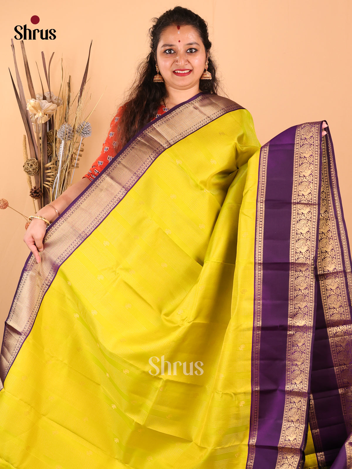 DDS17058 - Kanchipuram silk Saree - Shop on Shrus.com