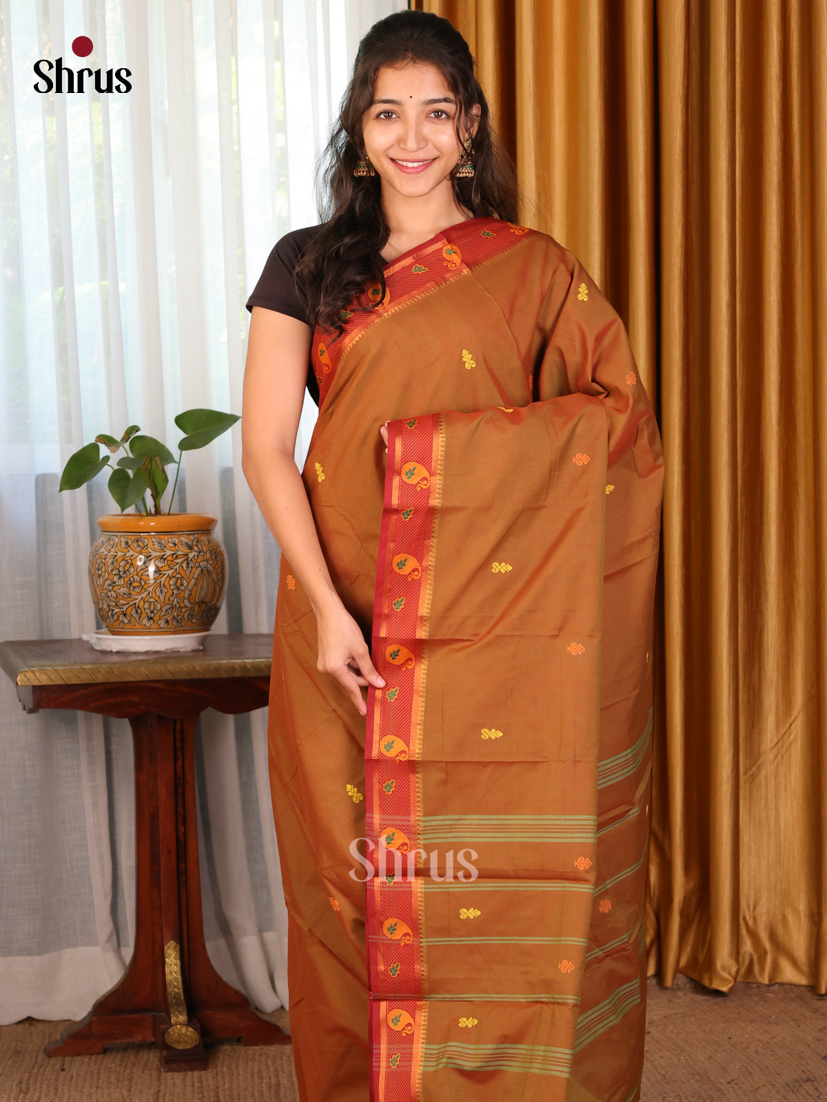 Brown with Maroon - DDS18121 - Chettinad Mix Cotton Saree - Shop on Shrus.com