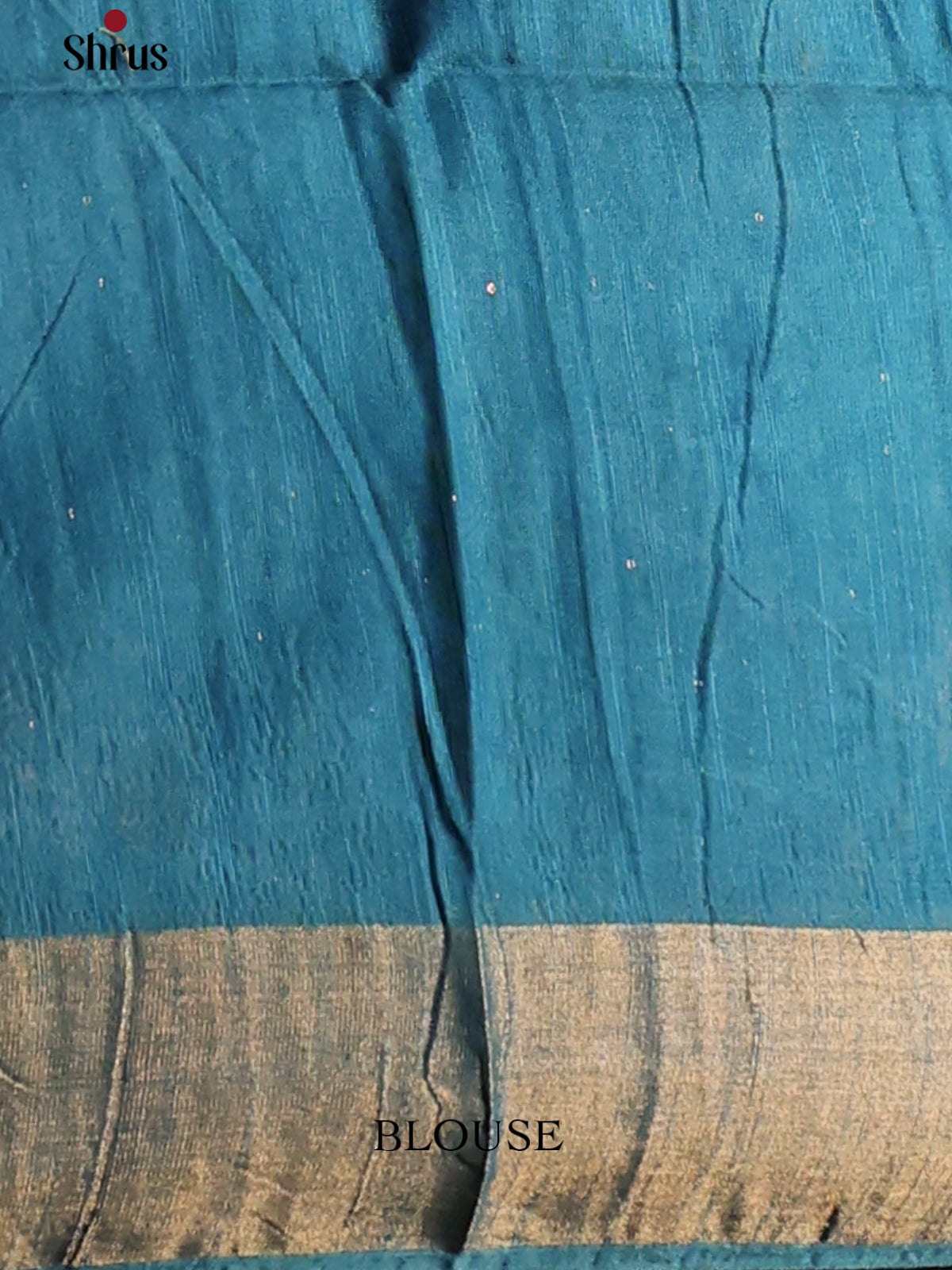 Blue- Printed Tussar Saree - Shop on Shrus.com