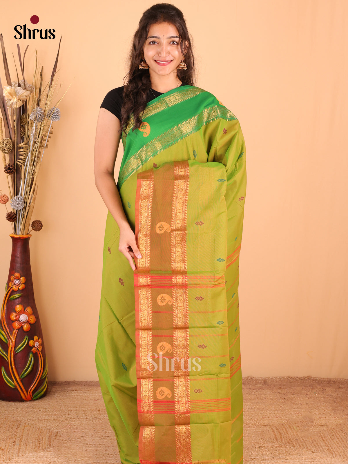 Lite Green with Brown - DDS18342 - Chettinad Mix Cotton Saree - Shop on Shrus.com