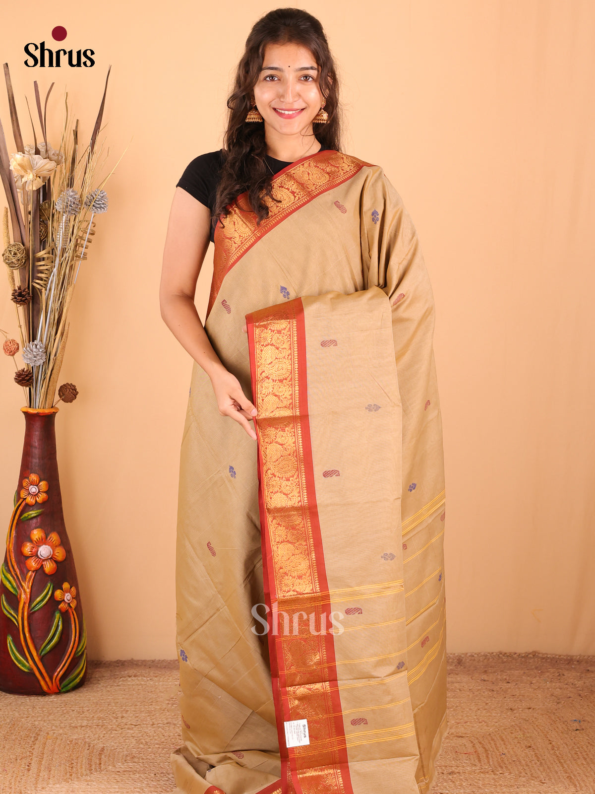 Beige with Brown - DDS18368 - Chettinad Mix Cotton Saree - Shop on Shrus.com