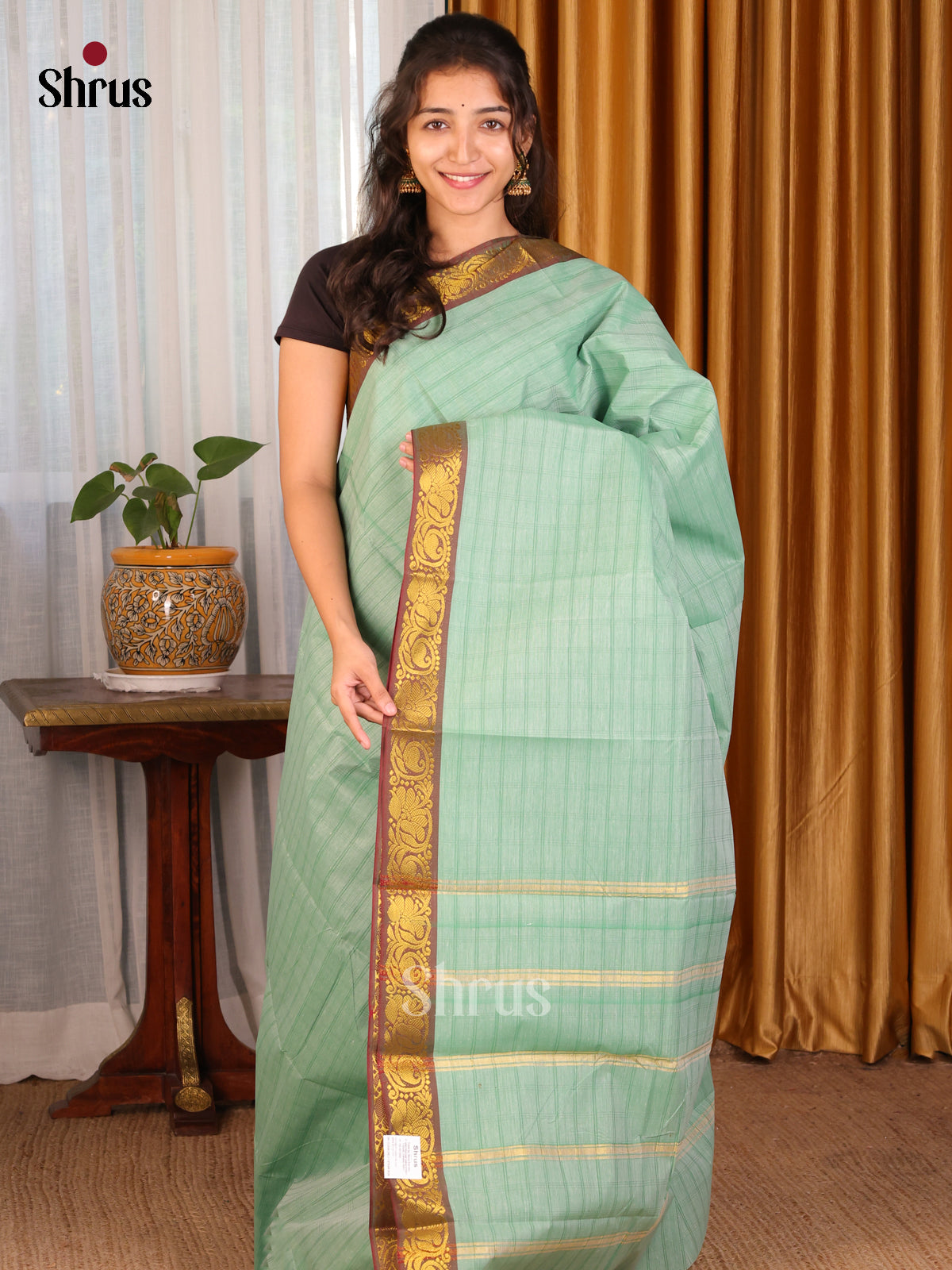 Pastel Green with Brown - DDS21280 - South Cotton Saree - Shop on Shrus.com