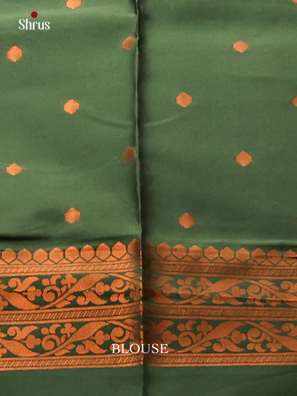 Pastel Green with Green- Semisoft silk Saree - Shop on Shrus.com