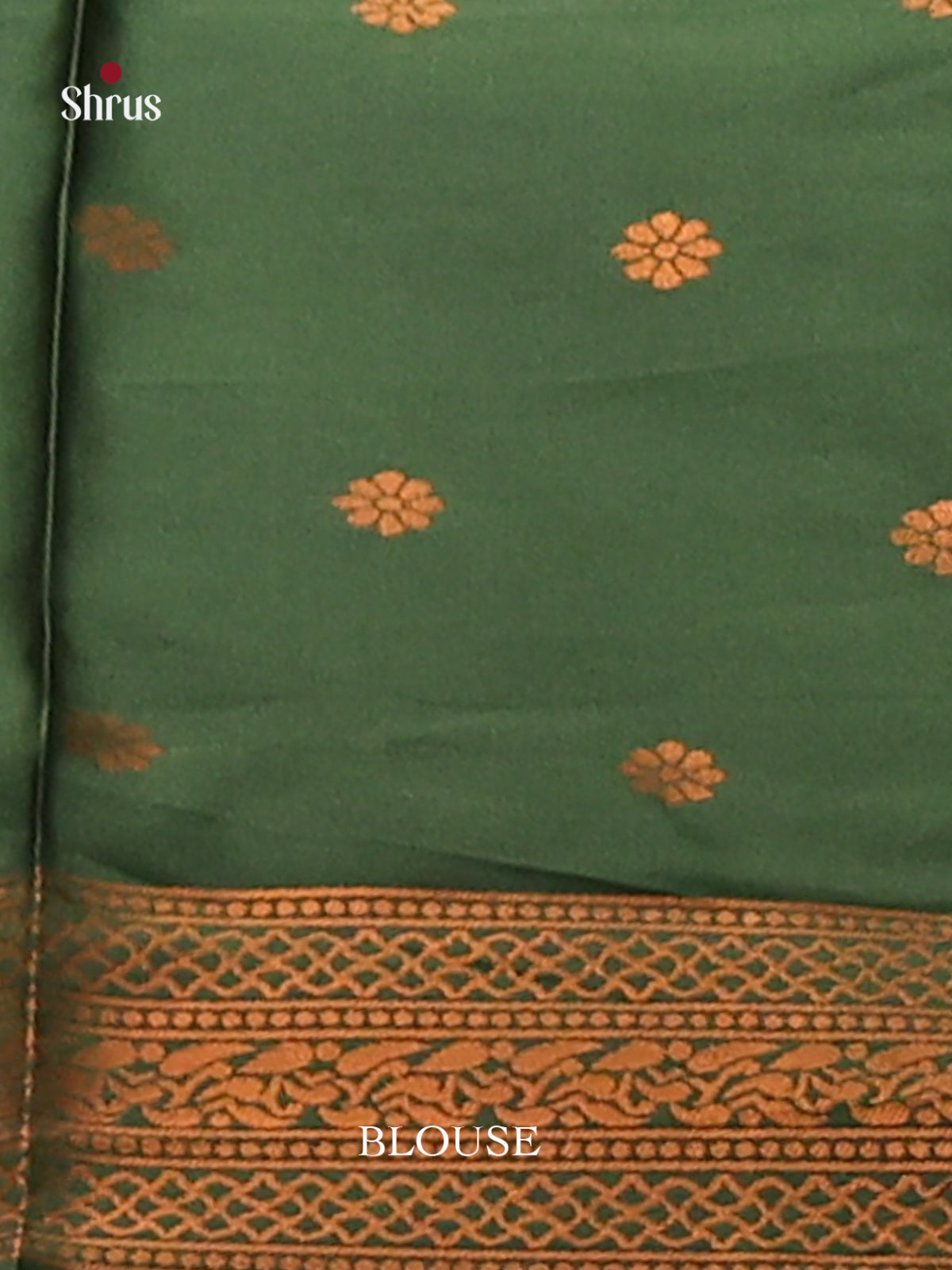Pastel Green with Green - Semisoft silk Saree - Shop on Shrus.com