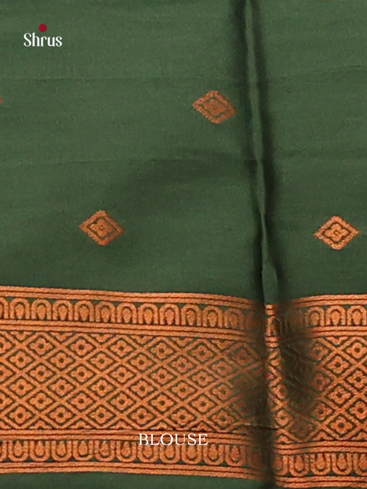 Pastel Green with Green- Semisoft silk Saree - Shop on Shrus.com