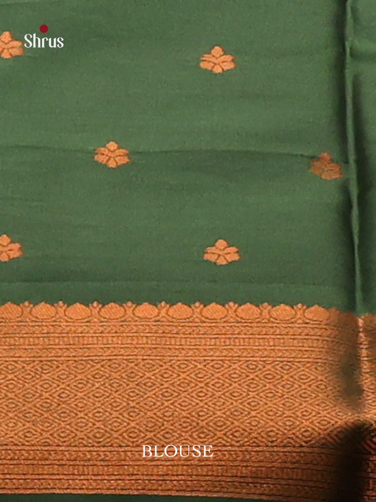 Pastel Green with Green - Semisoft silk Saree - Shop on Shrus.com