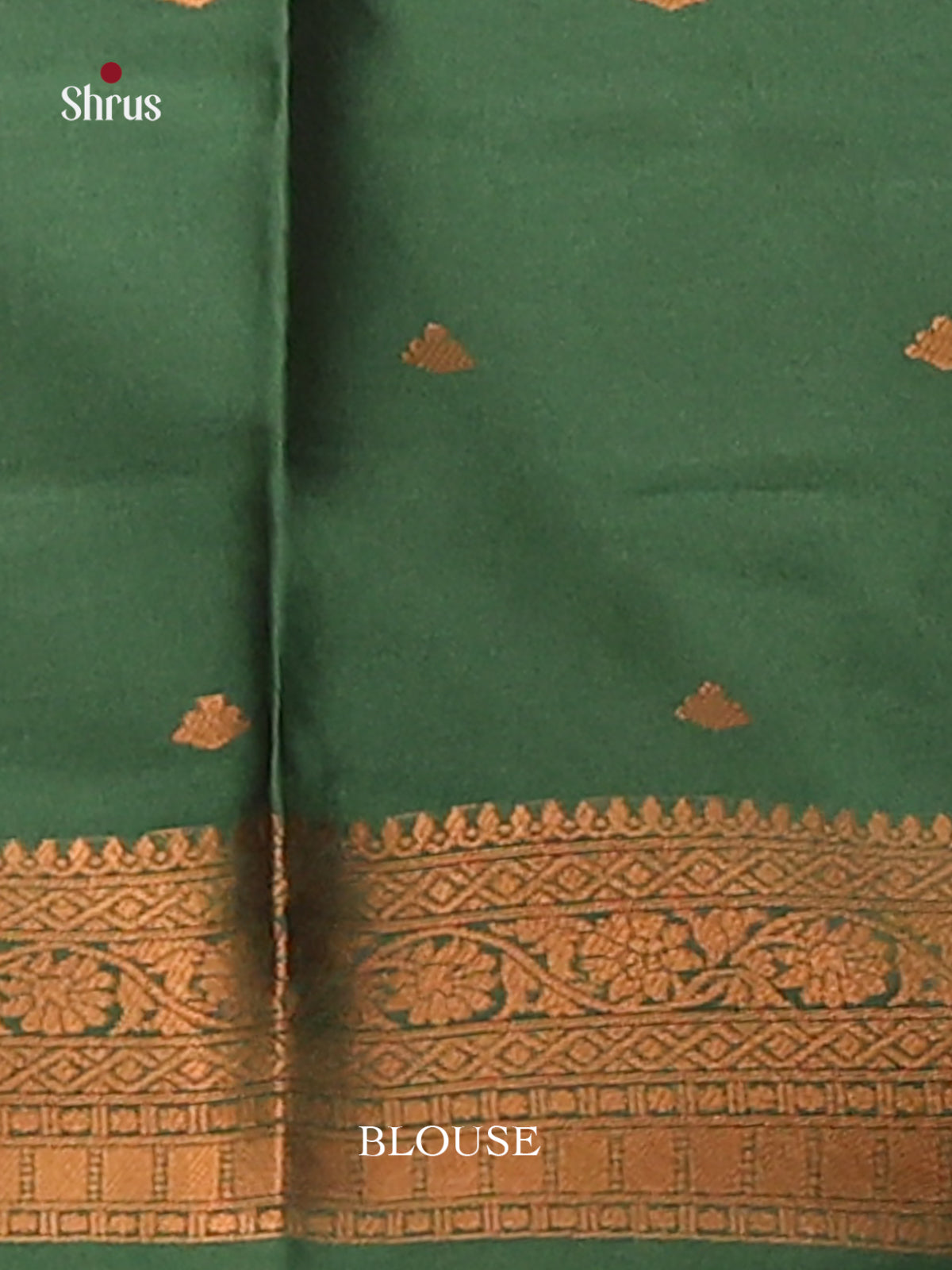 Pastel Green with Green - Semisoft silk Saree - Shop on Shrus.com