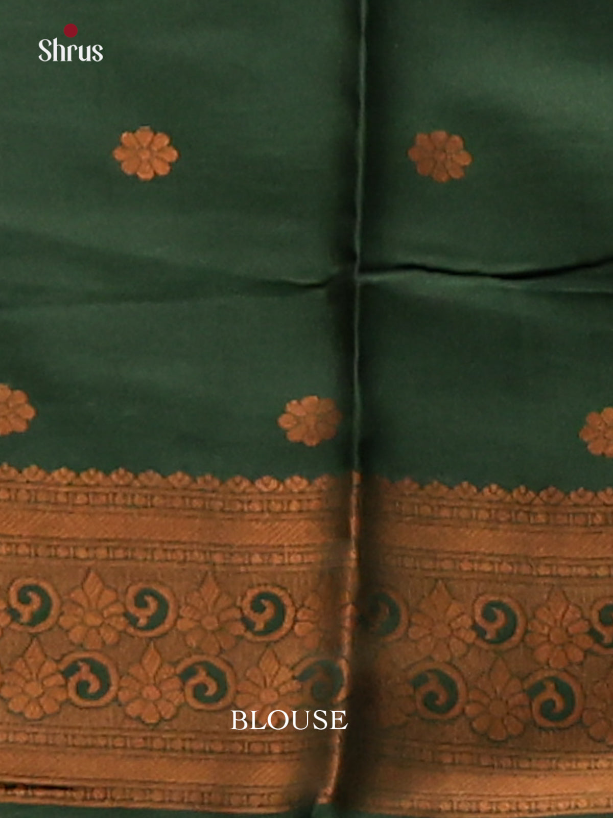 Pastel Green with Green - Semisoft silk Saree - Shop on Shrus.com