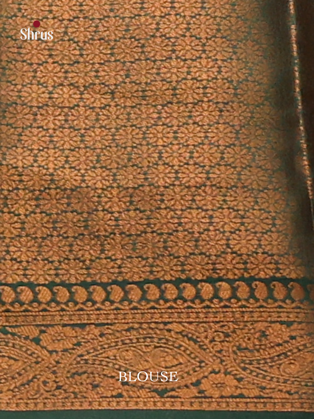 Enchanting Lite Green Semisoft silk Saree with gold zari paisleys motifs , Green floral nestling brocade pallu - Shop on Shrus.com