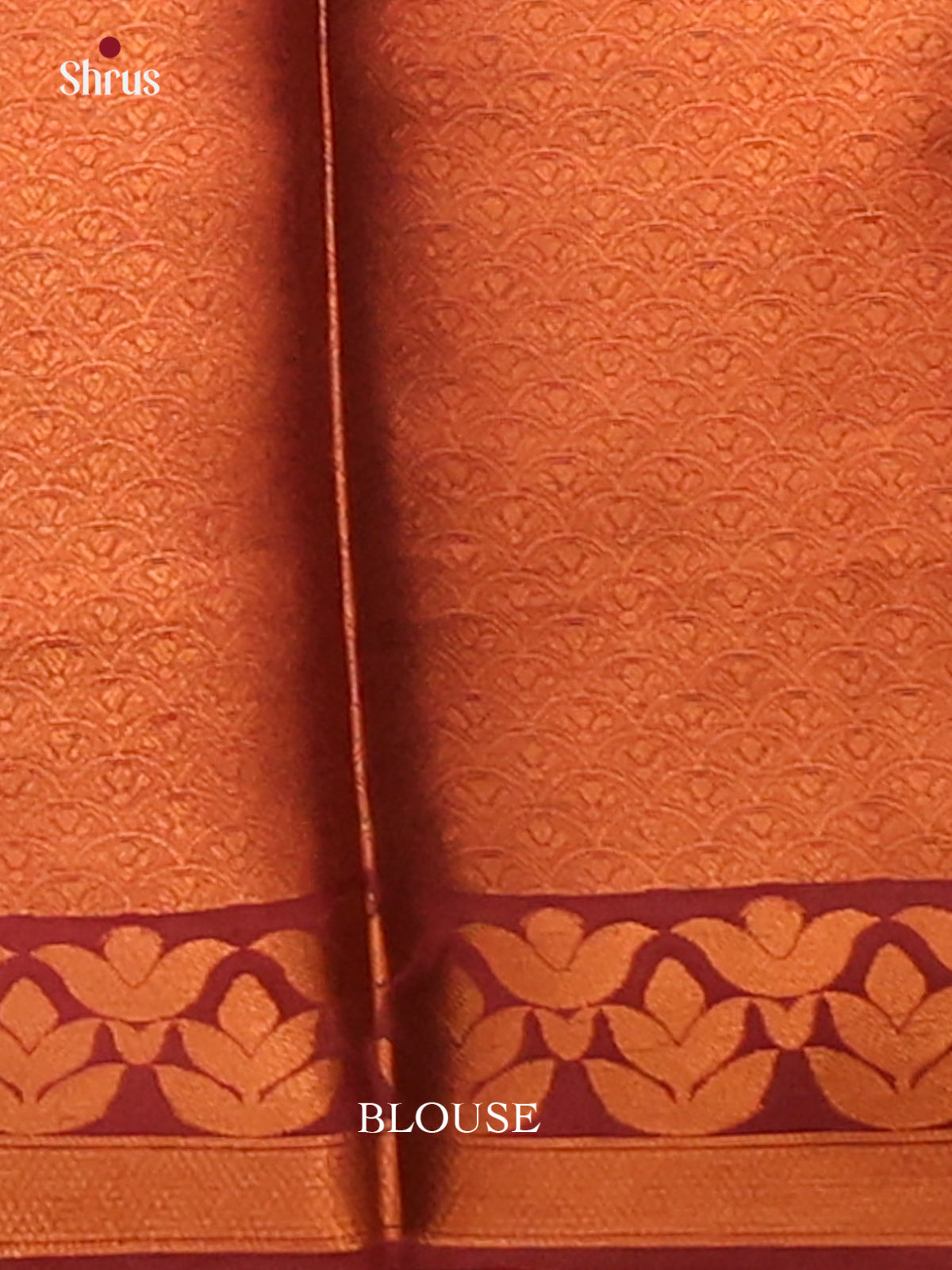 Dull Gold with Maroon - Semisoft silk Saree - Shop on Shrus.com