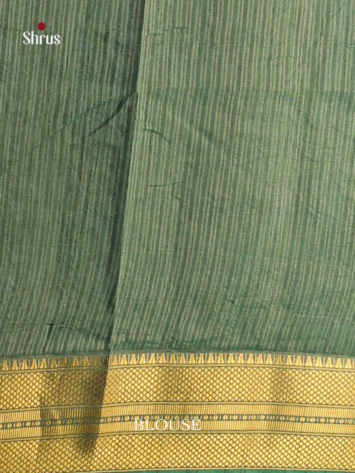 Teal with Green - Semi Patola Saree - Shop on Shrus.com