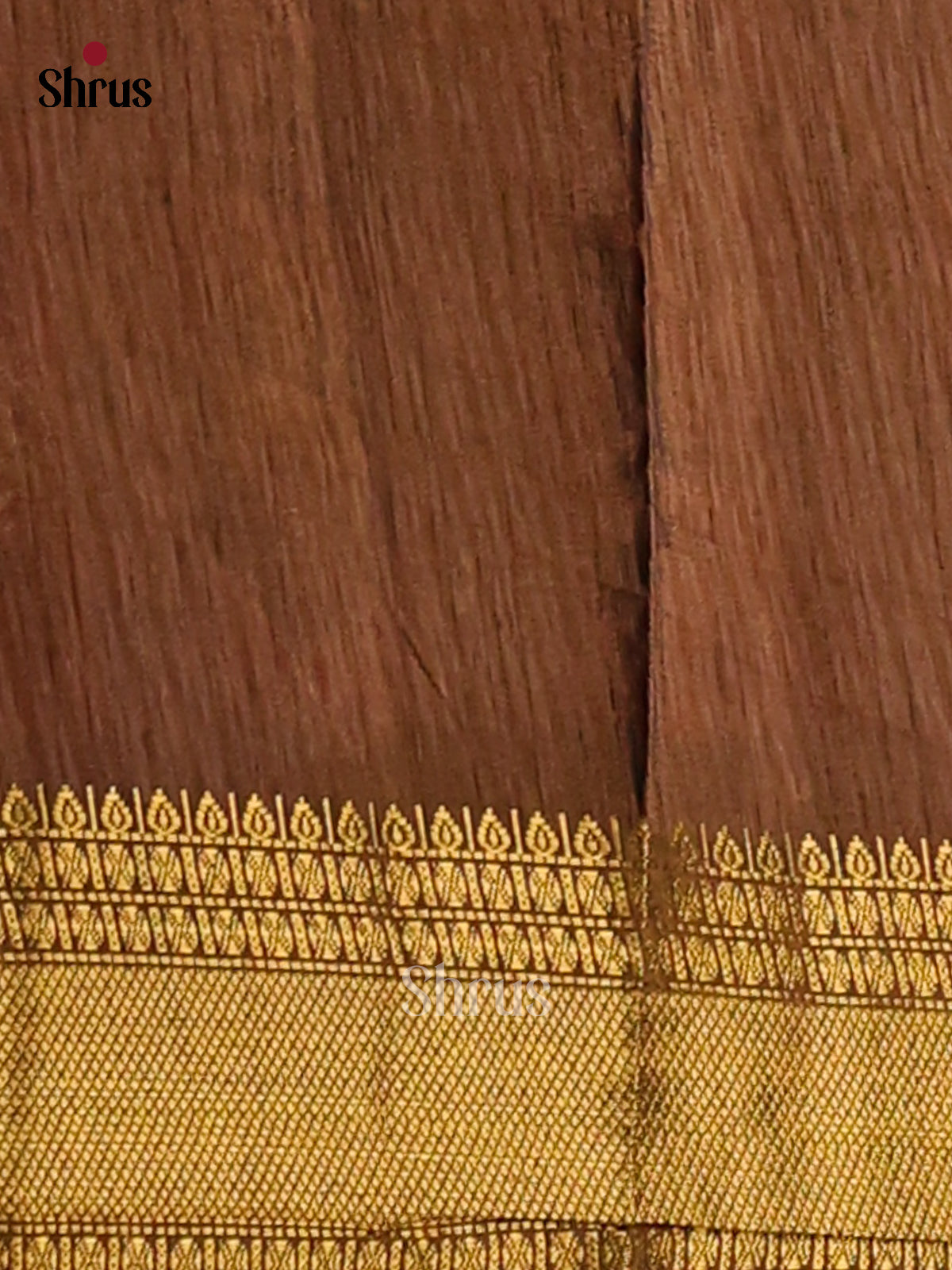 Beige with Brown- Semi Patola Saree - Shop on Shrus.com