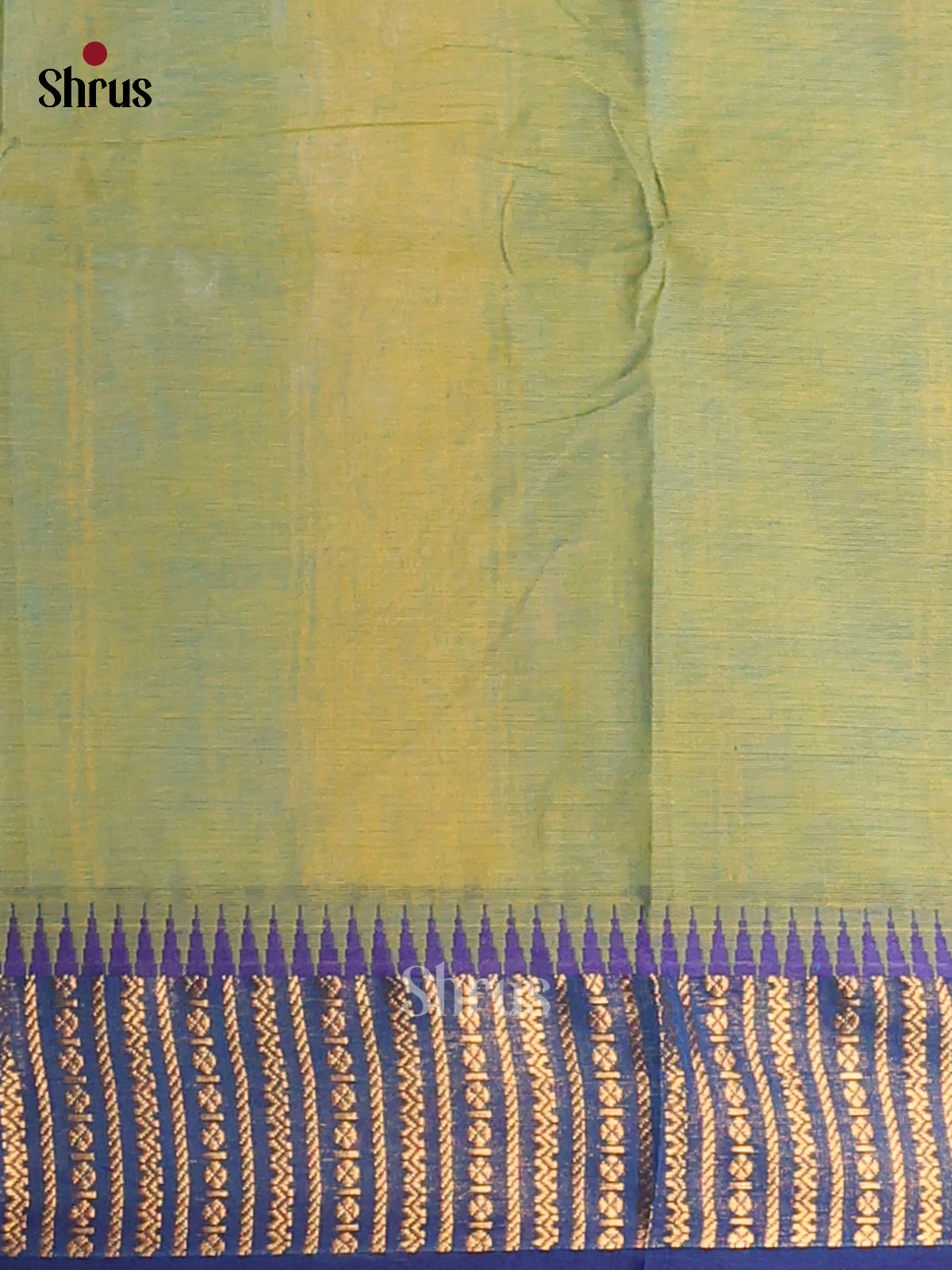 Pista Green Chettinad Cotton Saree With Plain Body & Blue Zari Woven Border - Shop on Shrus.com