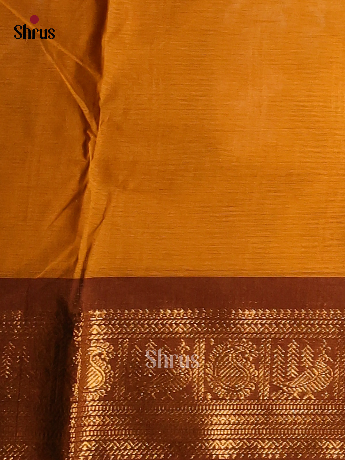 Exquisite Mustard Chettinad Cotton Saree with Brown Zari Border - Shop on Shrus.com