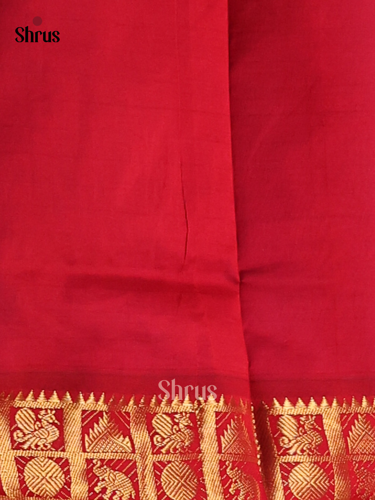 Purple with Red- Silkcotton-halfpure Saree - Shop on Shrus.com