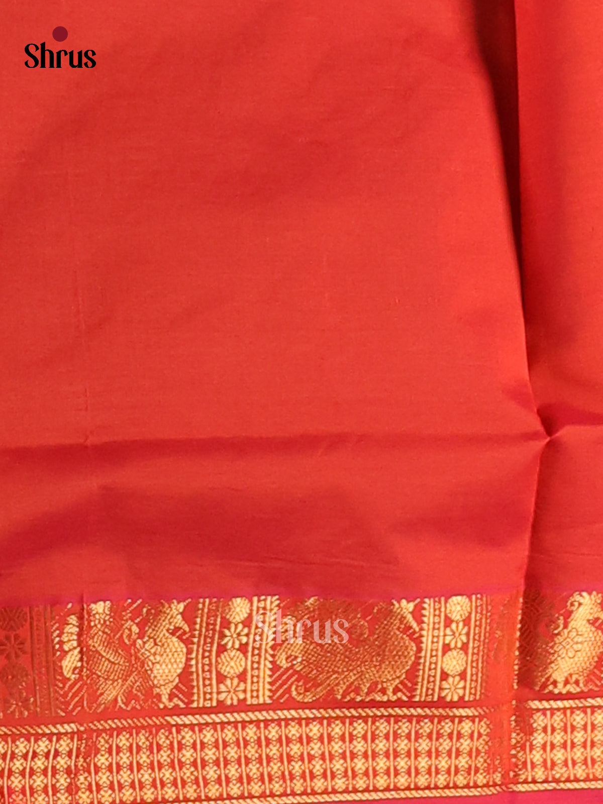 Green with Red - Silkcotton-halfpure Saree - Shop on Shrus.com