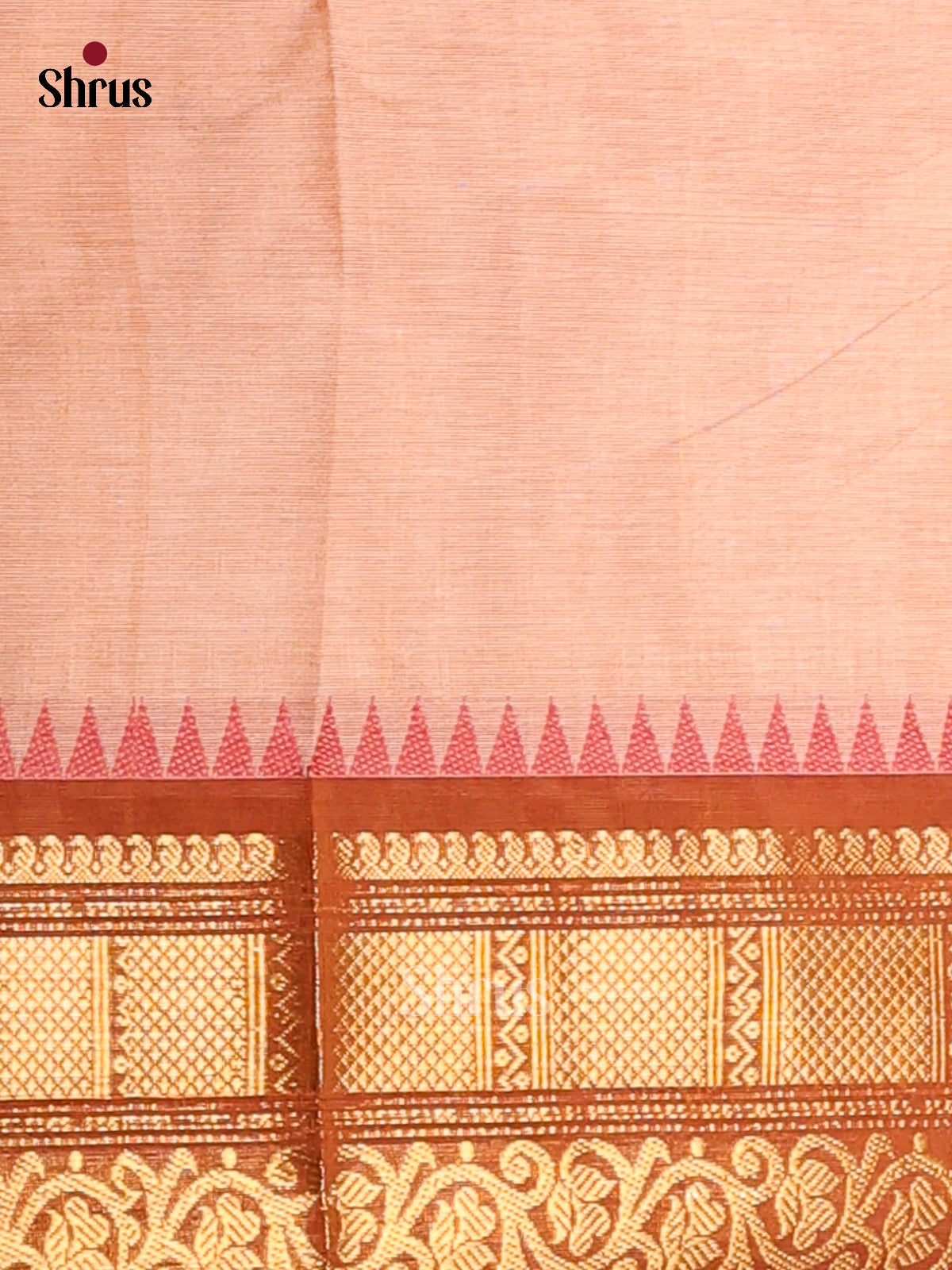 Pretty Cream Chettinad Handloom Cotton Saree with Brown Zari Woven Border - Shop on Shrus.com