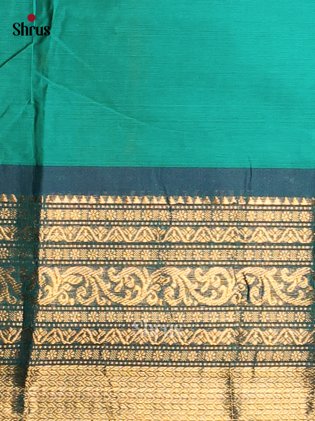 Subtle Green Chettinad Saree with Thread Woven Buttas & Blue Zari Border - Shop on Shrus.com