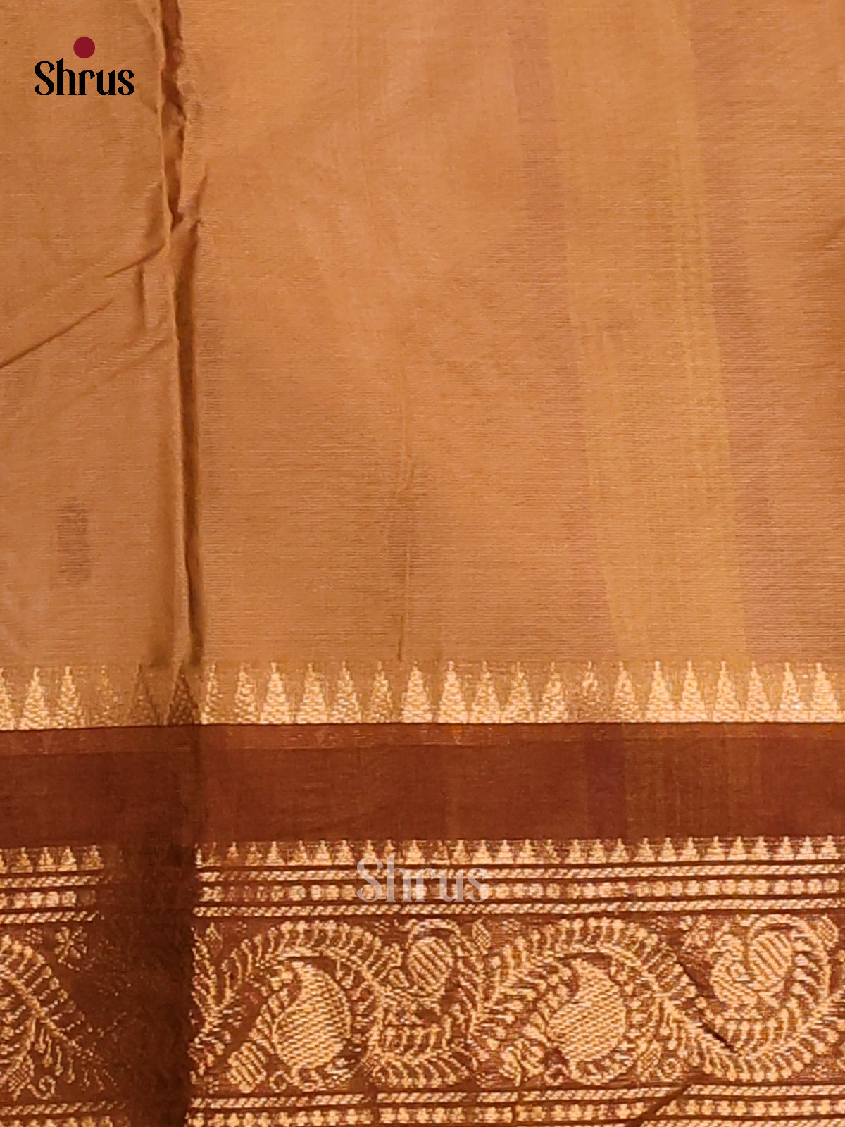 Lite Brown with Brown - Chettinad Cotton Saree - Shop on Shrus.com