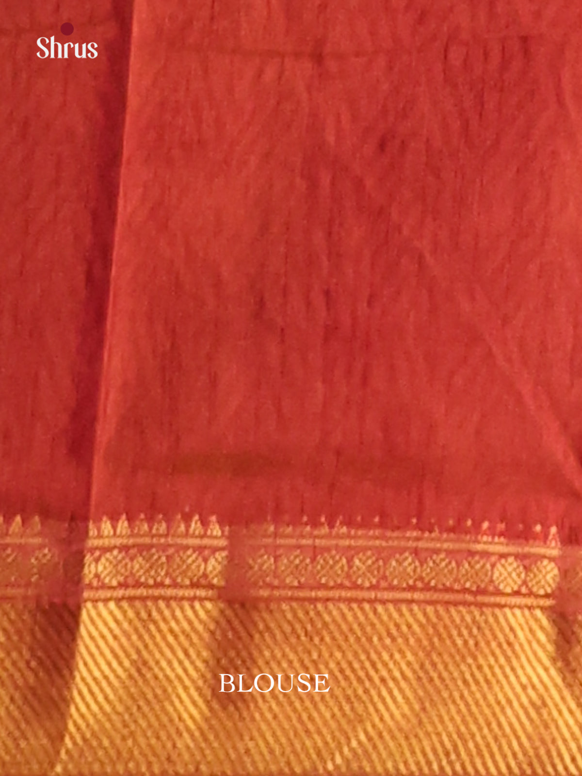 Brown with Brick - Semi Patola Saree - Shop on Shrus.com