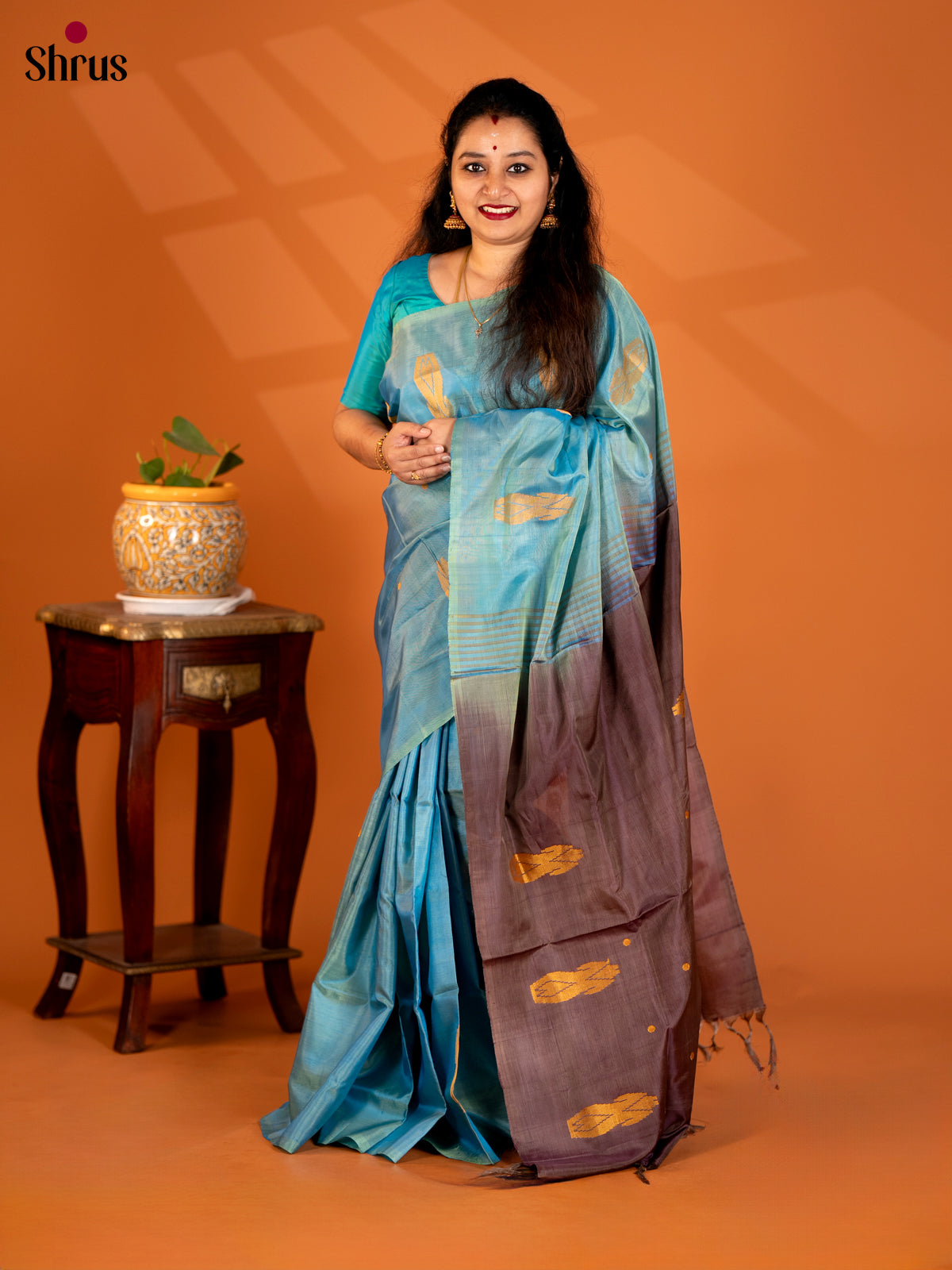 Blue with Brown - Banana Pith Saree - Shop on Shrus.com