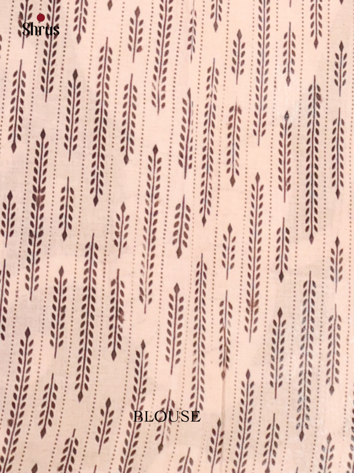 Green & Cream- kalamkari-cotton Saree - Shop on Shrus.com
