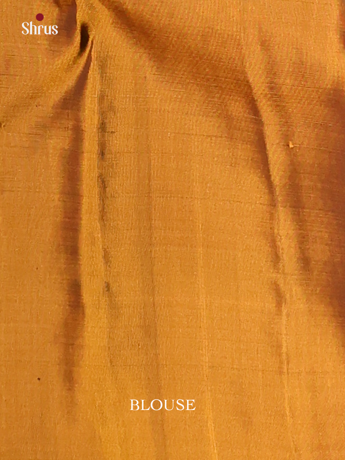 Traditional Green Softsilk-halfpure Saree with leaf motif, contrast floral vine pallu - Shop on Shrus.com