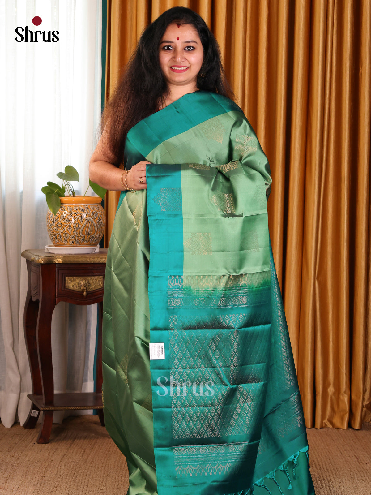 Glittering Pastel Green Softsilk-halfpure Saree with ari motif & criss cross brocade pallu - Shop on Shrus.com