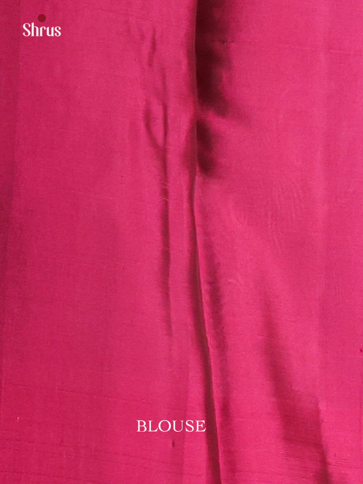 Pastel Green Softsilk-halfpure Saree with zari block motifs & floral elegant pallu - Shop on Shrus.com