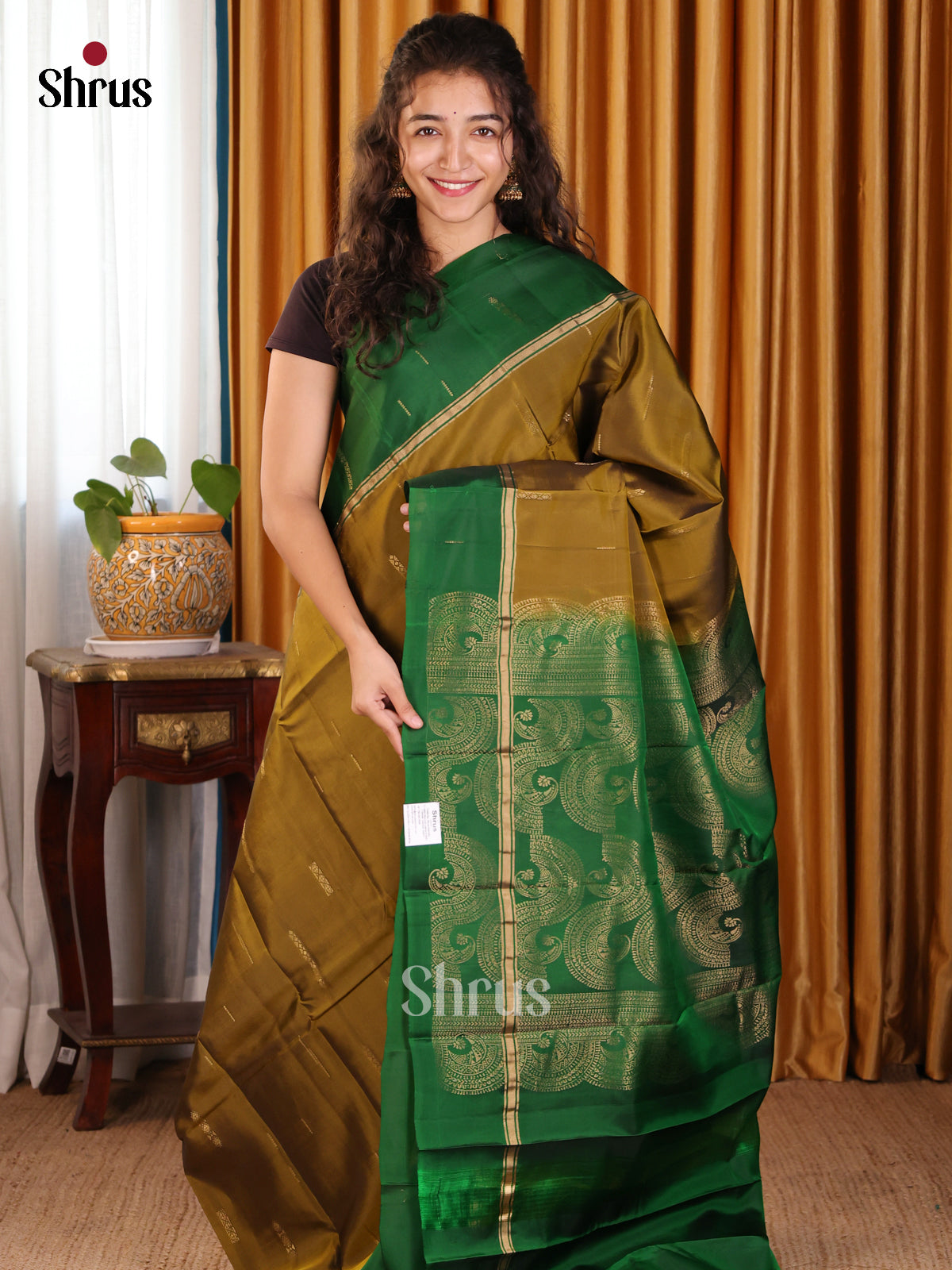 Serene Mehandi Softsilk-halfpure Saree with zari butta & Contrast plain border - Shop on Shrus.com