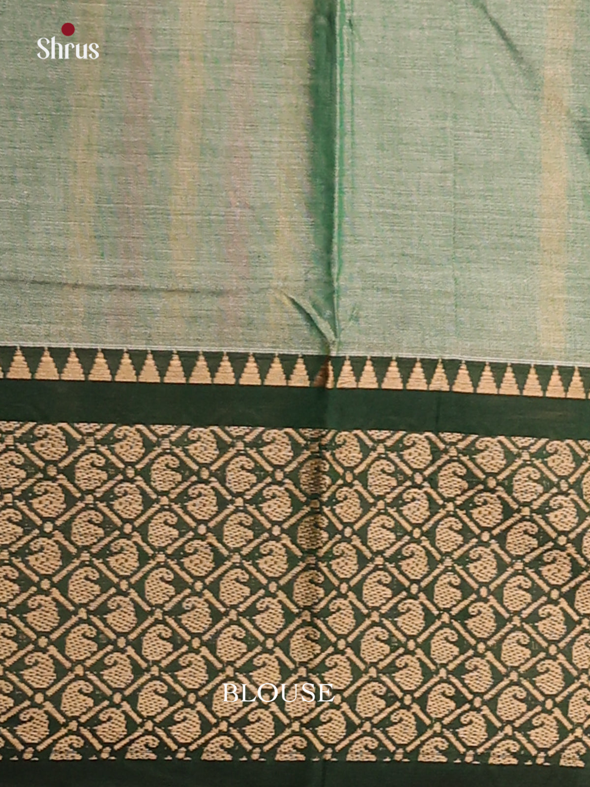Pastel Green with Green - Narayanpet Cotton Saree - Shop on Shrus.com